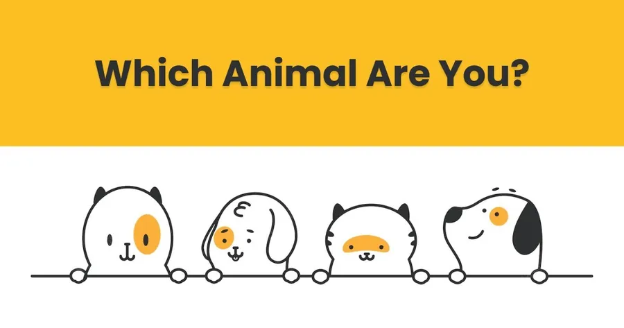 Which Animal Are You?