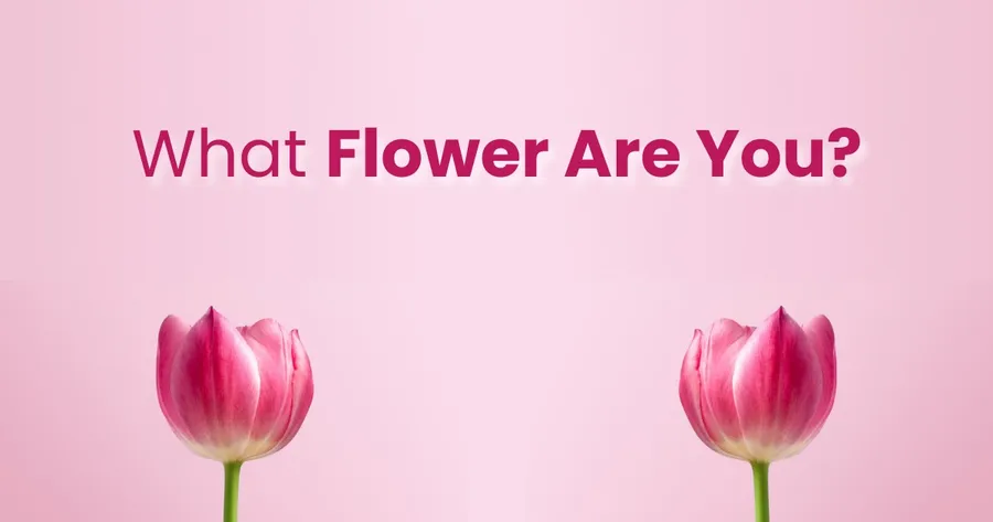 What Flower Are You?