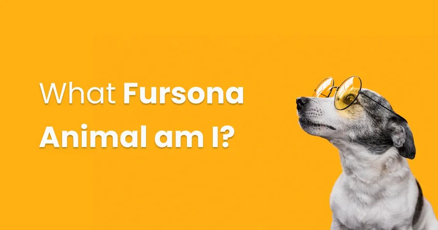 Fursona quiz